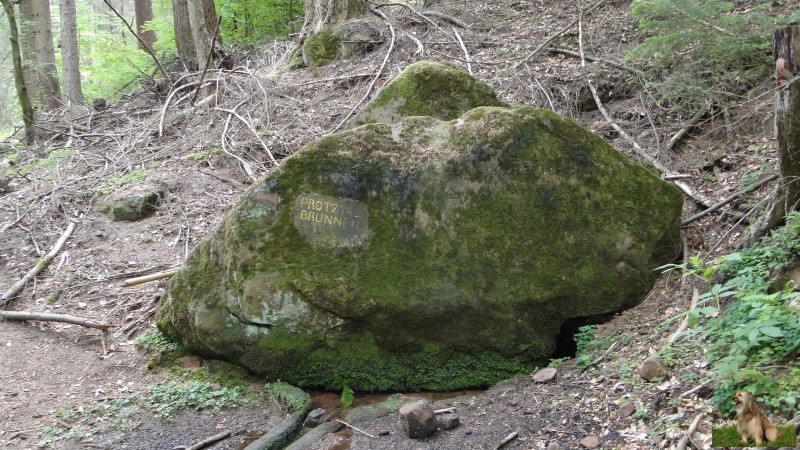 Ritterstein Nr. 148-2 Protztalbrunnen.JPG -  Ritterstein Nr.148  Protztalbrunnen                               
